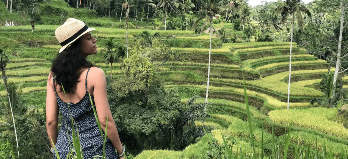 Tegallalang Rice Terrace